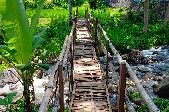 Tour guidato privato di Bali est
