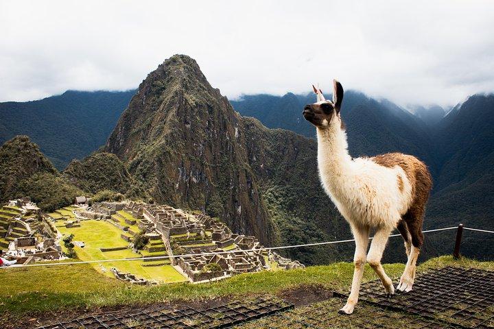 Private Tour 4-Tage: Cusco || MachuPicchu || Regenbogenberg ||