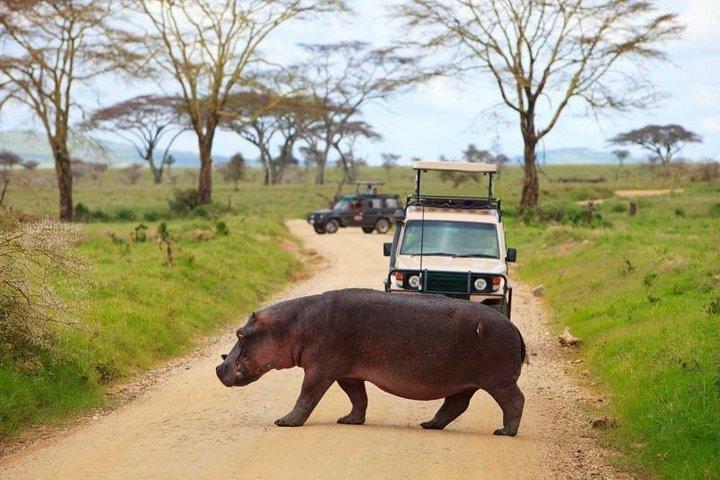 Excursion d'une journée au parc du lac Nakuru avec promenade en bateau en option au lac Naivasha