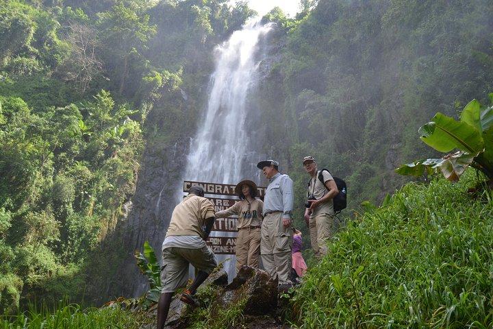 Mount Kilimanjaro dagstur trekking