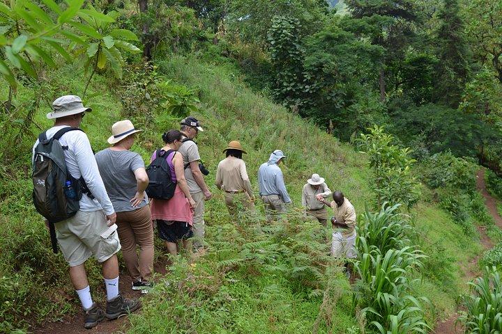 Excursión de un día al monte Kilimanjaro