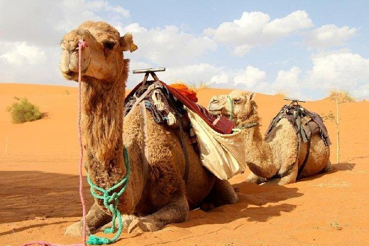 Desierto Agafay y Atlas Mountains & Camel ride Excursión de un día desde Marrakech