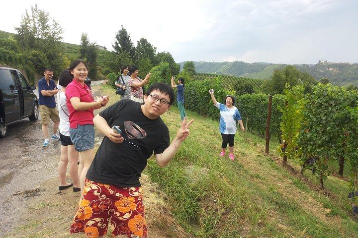 Montepulciano und Pienza Tuscany Wine & Cheese Fullday aus Florenz