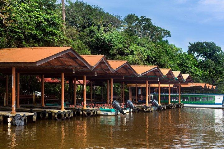 1 natt i Tortuguero + tur till Tortuguero nationalpark