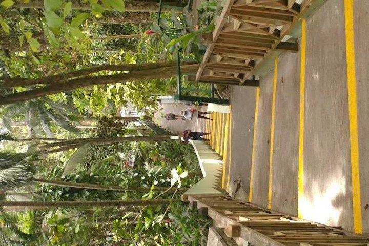 Dunns River Falls Scenic Tour