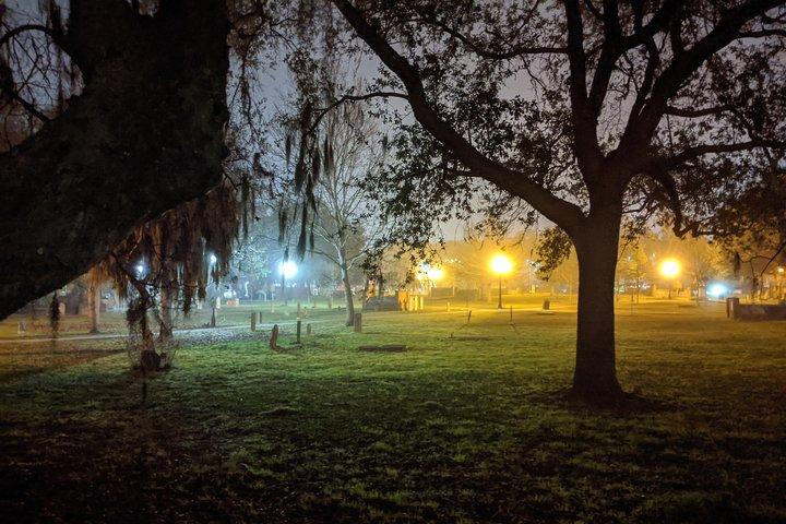 Fraidy Cat: Die Family Fun Ghost Tour durch Savannah