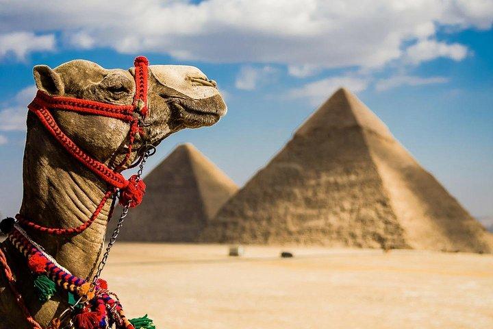 Private Tour : Pyramiden von Gizeh, Sphinx, Großes Ägyptisches Museum und Basar