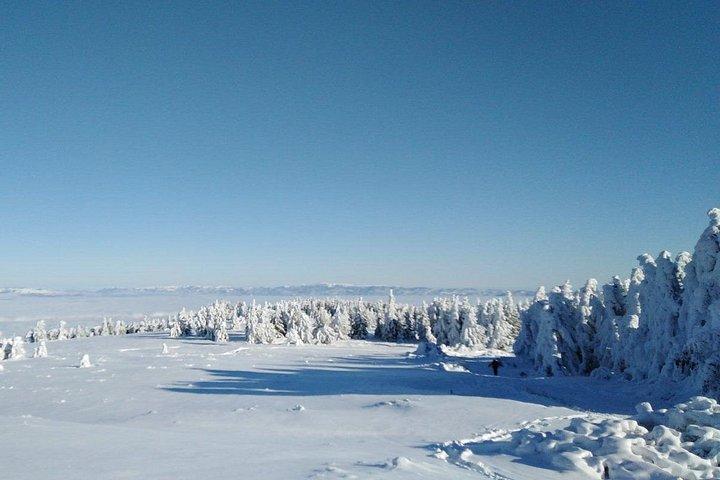 Private 2-day Trip with Snowshoes