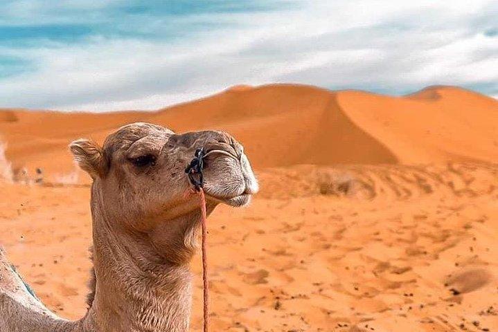Excursão privada 3D / 2N no deserto de Marrakech a Marrakech