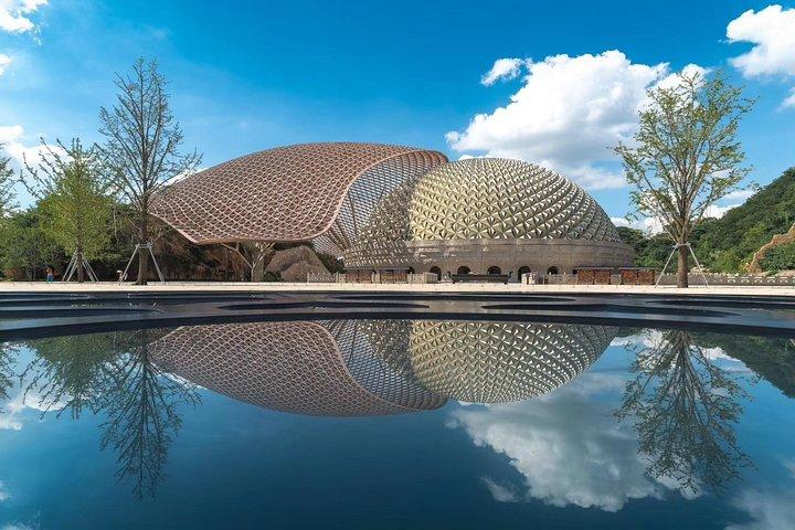 Excursión privada de un día a Nanjing con el lago Xuanwu, Niushoushan y el área del templo confuciano