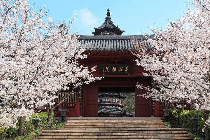 玄武湖、牛首山、Conf教寺院エリアでの南京プライベート日帰りツアー
