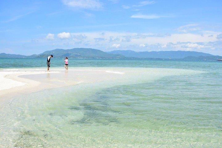 Excursion privée d'une demi-journée à Pig Island et Koh Tan en bateau longue queue