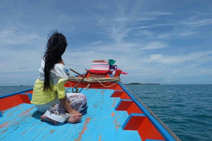 Excursion privée d'une demi-journée à Pig Island et Koh Tan en bateau longue queue