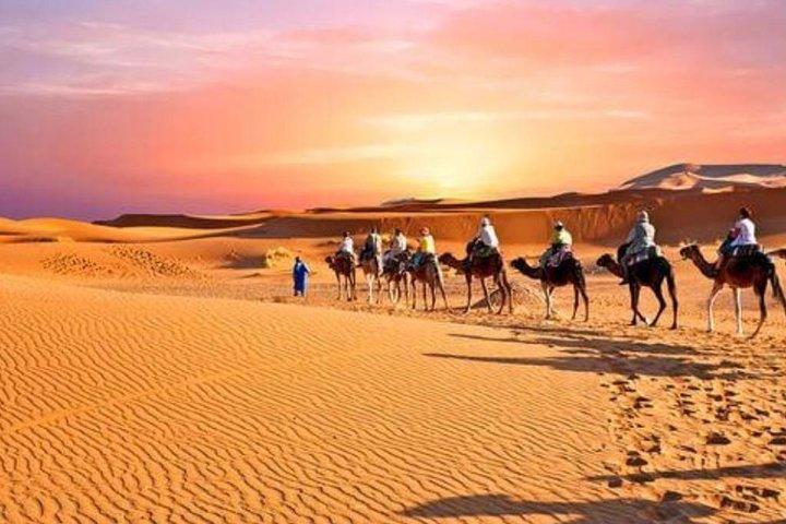 Desierto Agafay y Atlas Mountains & Camel ride Excursión de un día desde Marrakech