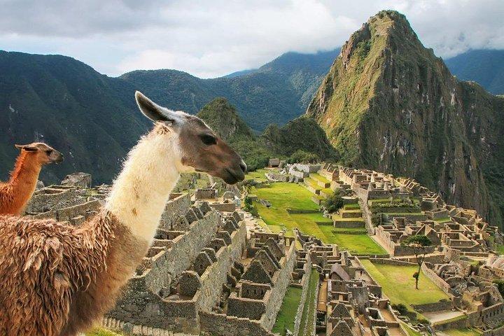 Excursion to MachuPicchu with Train Vistadome Full Day