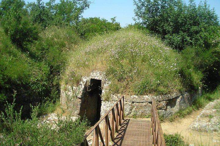 ローマからの日帰り旅行：エトルリアの遺産：Tarquinia＆Cerveteri-プライベートツアー