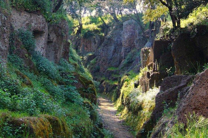 ローマからの日帰り旅行：エトルリアの遺産：Tarquinia＆Cerveteri-プライベートツアー