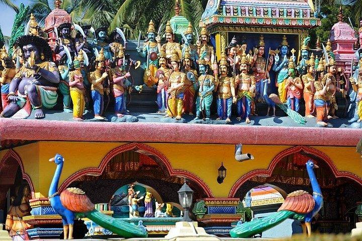 コロンボからチロウへの日帰り旅行-スリランカラーマヤナツアー