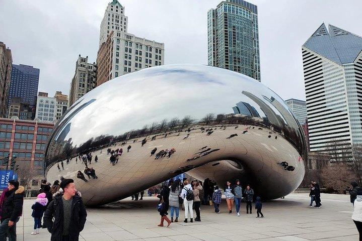 Privat Chicago City Minibus Tour