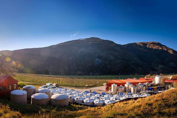 Gibbston Valley Wines - Winery Tour