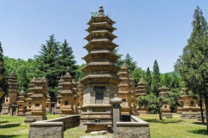 1-dages Longmen Grottoes & Shaolin Temple Tour fra Xian med Round-way Bullet Train