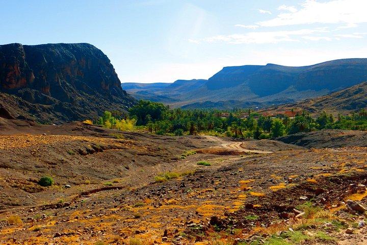 ワルザザートからの日帰り旅行：Teloute、Ait Ben Haddou、Oasis Fint、ランチ付き