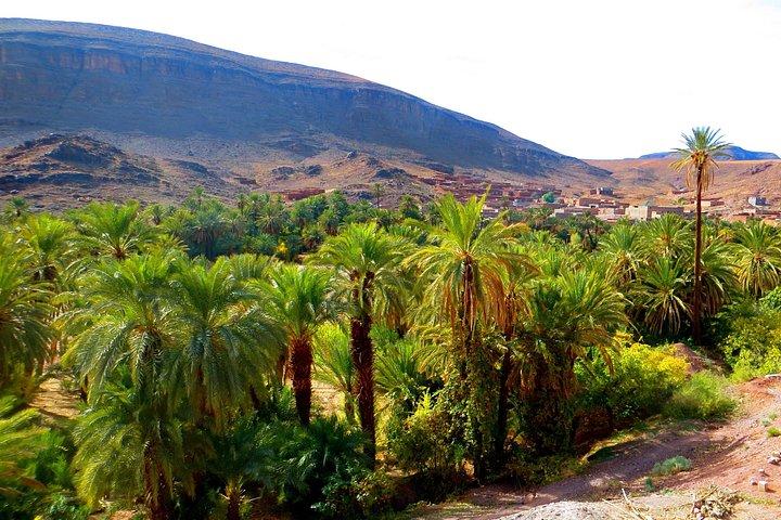 ワルザザートからの日帰り旅行：Teloute、Ait Ben Haddou、Oasis Fint、ランチ付き