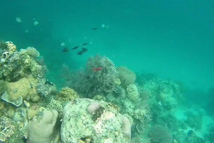 ミサリ島でシュノーケリング