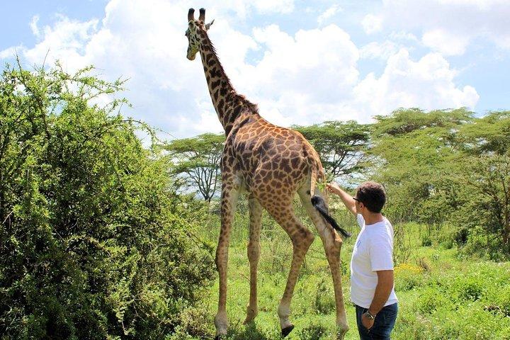 ナイバシャ湖でのオプションのボートライド付きナクル湖公園への日帰りツアー