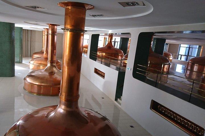 Pilsner Urquel brewery with tasting + sightseeing (from Prague)