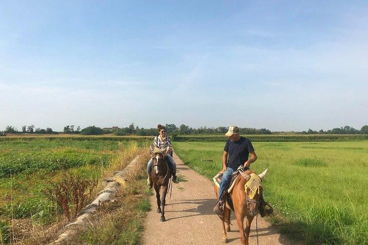 Reiten und Weinprobe