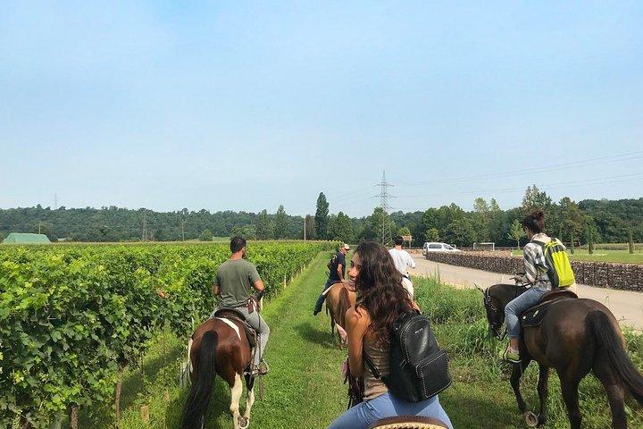 Reiten und Weinprobe