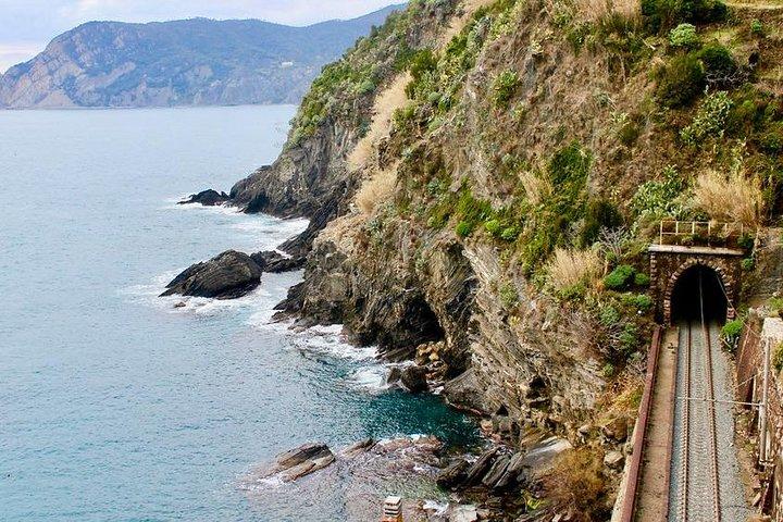 Dagstur från La Spezia pir: Cinque terre full nedsänkning - privat tur