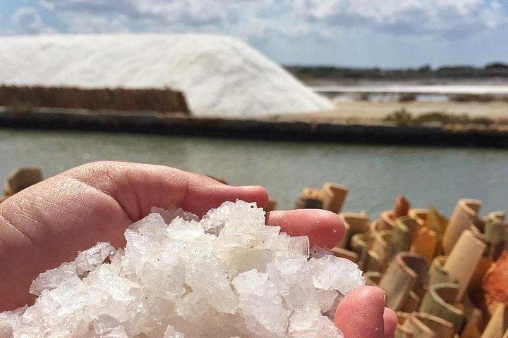 セジェスタ、エリチェ、サリーナディマルサラ、パレルモからのモーゾ島のプライベートツアー