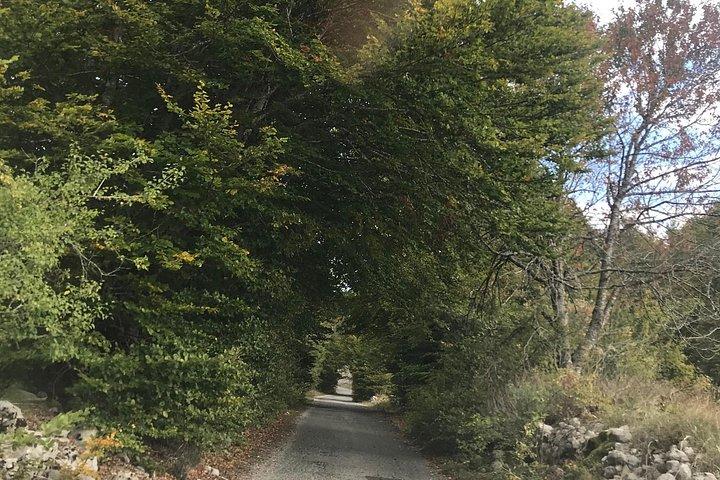 コリタサイクリングツアー周辺のサーキット