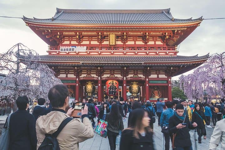 Tokyo Private Customizable Half Day Tour