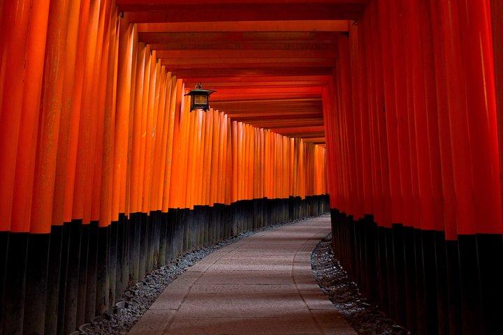 Excursión privada de un día a Kioto