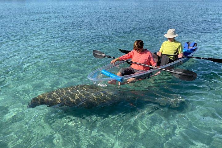 Guidad Clear Kayak Eco-Tour of Jupiter