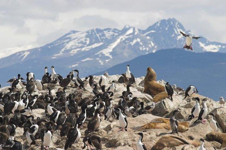 Gable Island met Penguin Rookery en Harberton Ranch uit Ushuaia