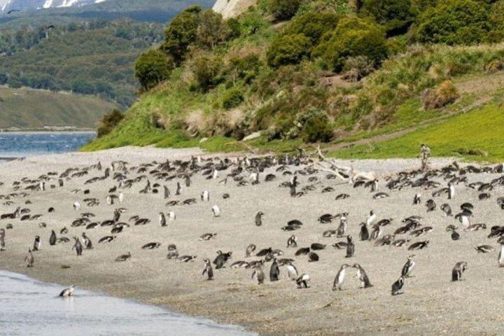 Gable Island met Penguin Rookery en Harberton Ranch uit Ushuaia
