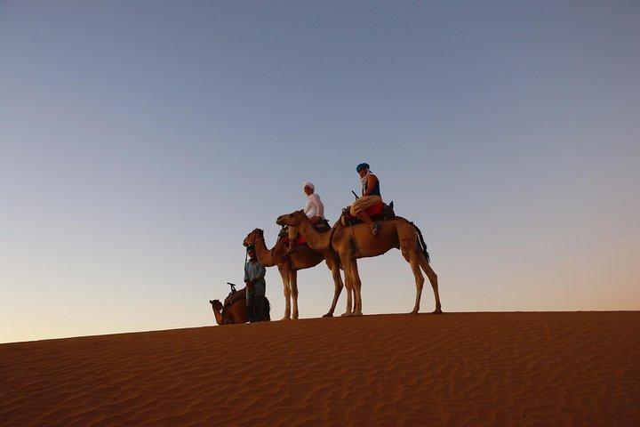 Fra Ouarzazate: Privat 12-dages-vandring i Draa Valley og Erg Chegaga klitter