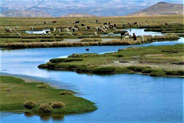 Colca Canyon 2d / 1n e atterraggio a Puno