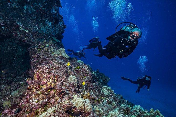 2 Tank Lanai Cathedral Dive Via båd til certificerede dykkere
