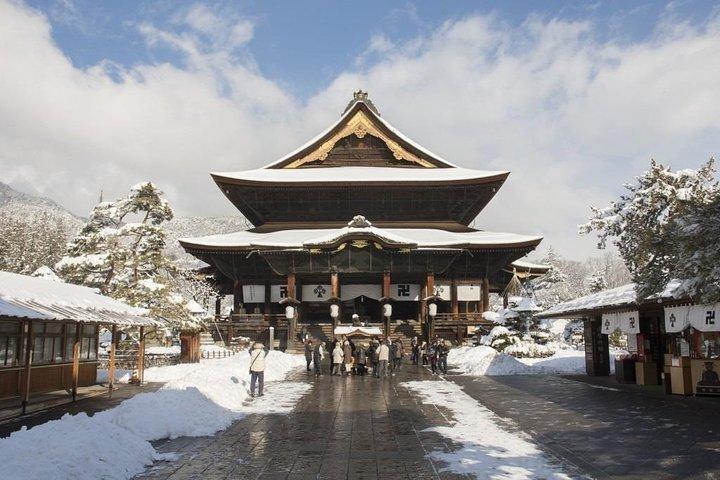 野沢温泉からの冬の 1 日ツアー : スノー モンキー、善光寺、酒