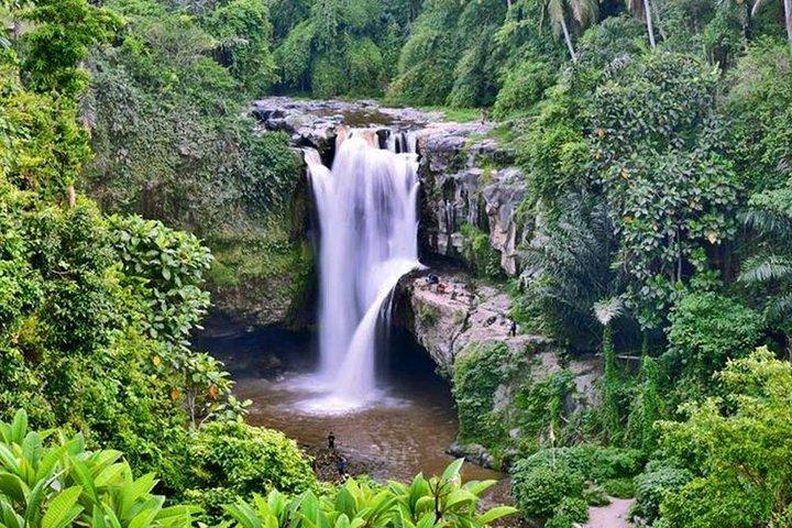 Bali Middenlaan