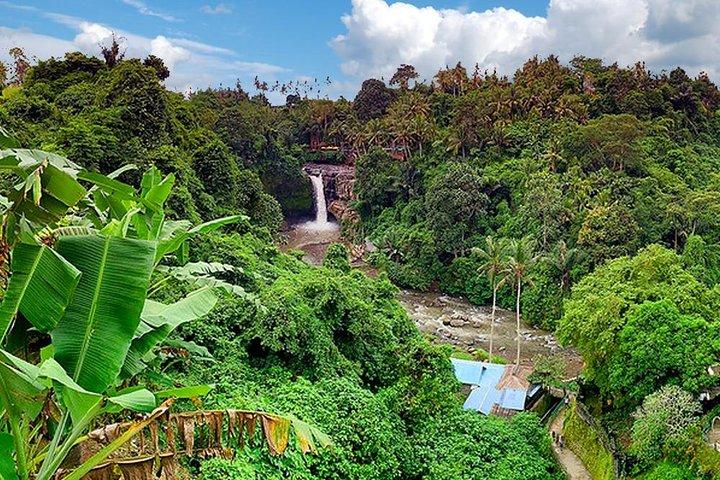Bali Middenlaan