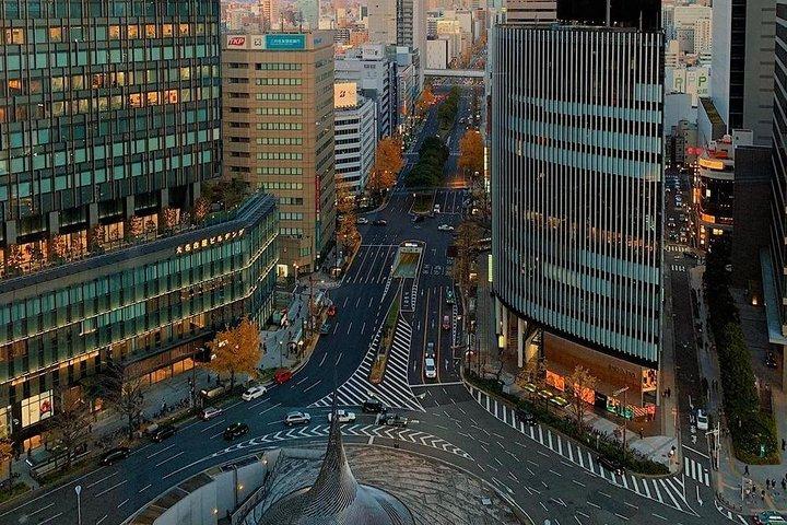 Excursion privée d'une demi-journée personnalisable à Nagoya