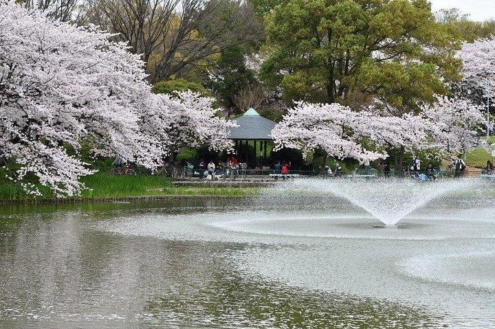 Excursion privée d'une demi-journée personnalisable à Nagoya