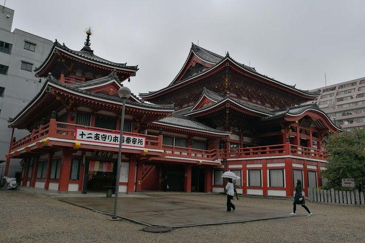 Excursion privée d'une journée personnalisable à Nagoya