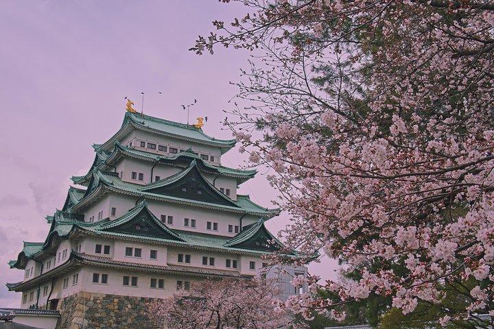 Tour privado de medio día personalizable de Nagoya